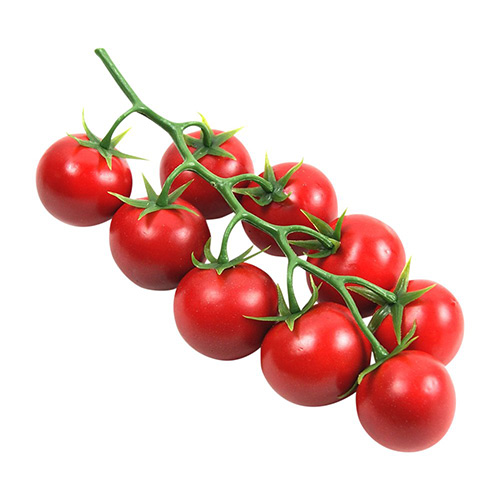 بندورة