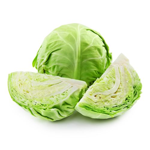 ملفوف اخضر
