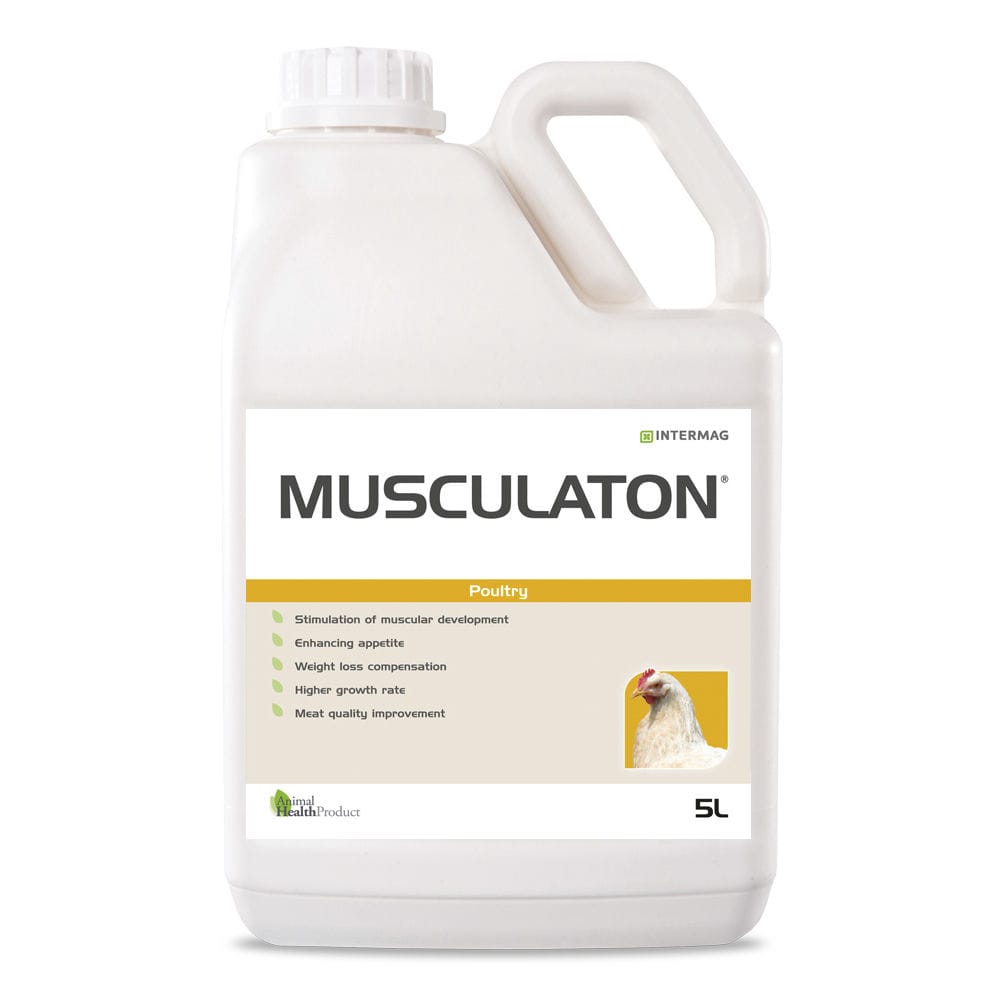 MUSCULATON