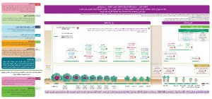ملفوف احمر