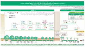 ملفوف اخضر
