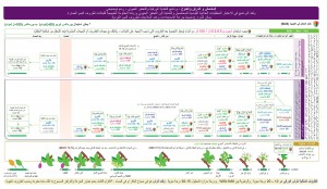 مشمش