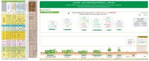 خيار