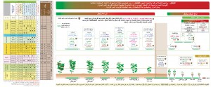 فلفل