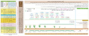 ثوم