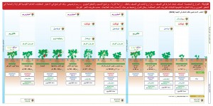 فراولة