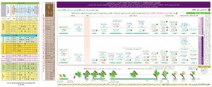 مشمش