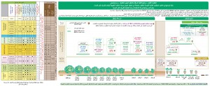 ملفوف اخضر