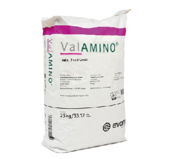 فال امينو® (ValAMINO®)